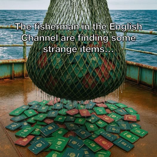 541650979_122198750030552100_8962412692788223357_n.jpg