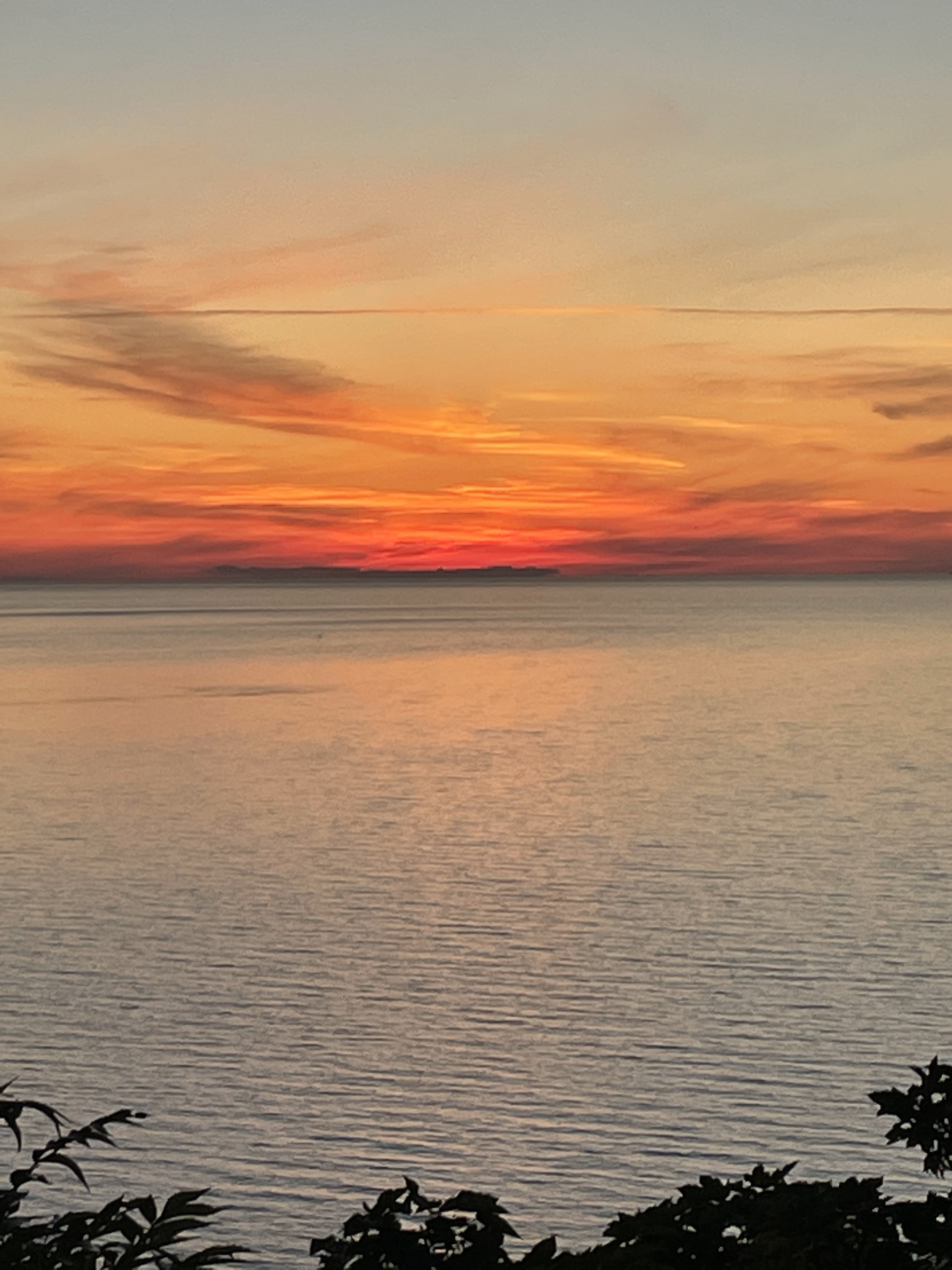 60D9A715-34DD-40B5-AD4D-9006121003D3.jpeg