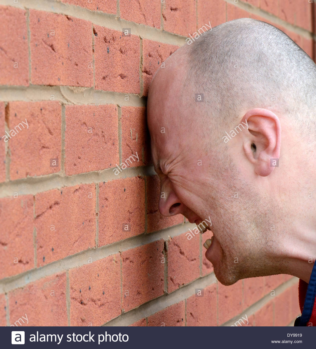 a-man-banging-his-head-against-the-wall-in-frustration-DY9919.jpg