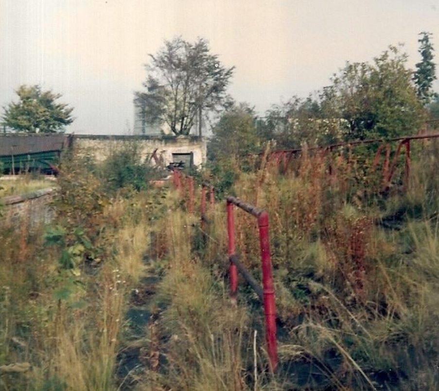 Avenue 7.jpg