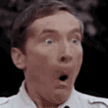 carry-on-matron-1.gif