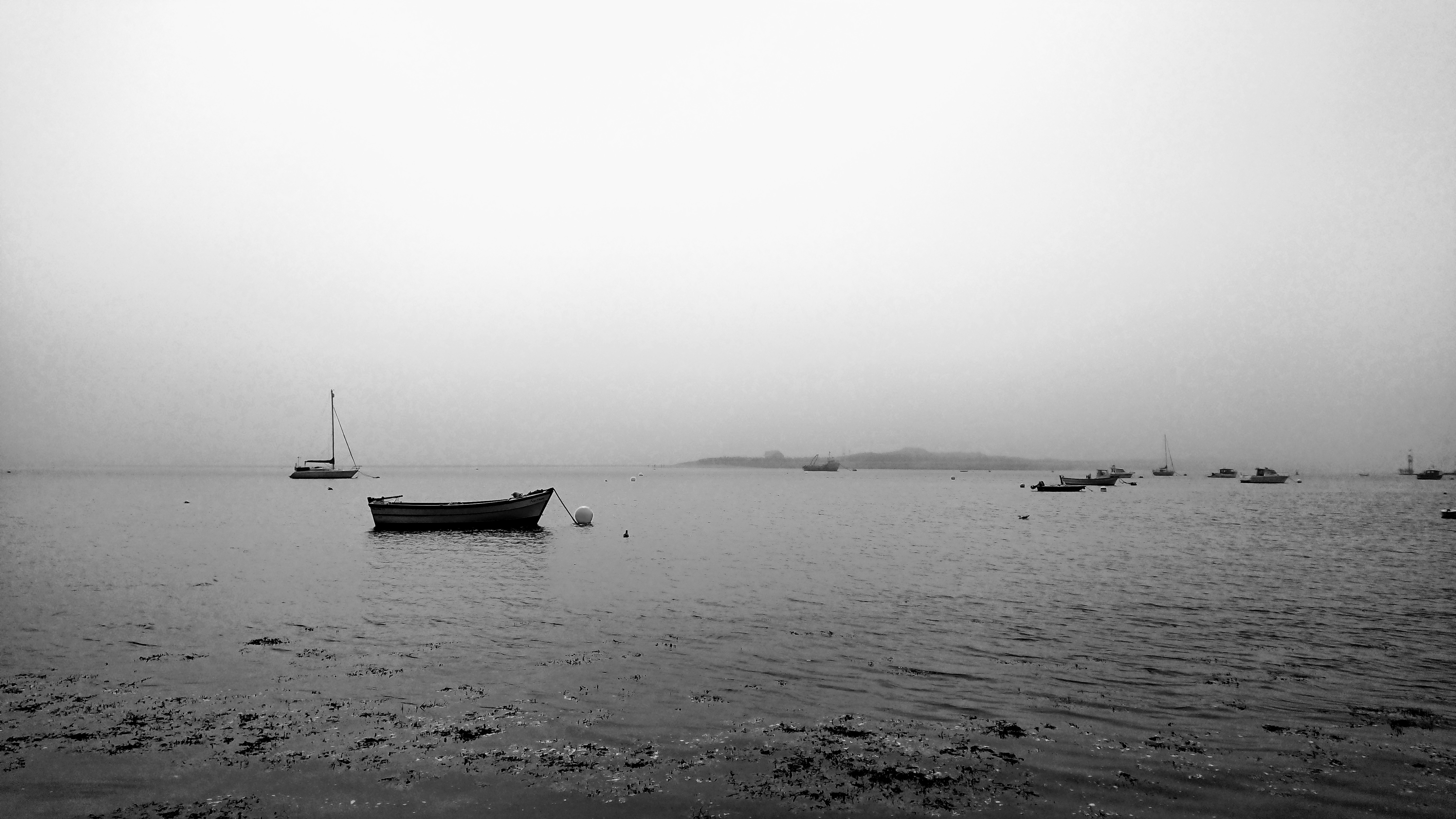 DSC_3822~2.JPG