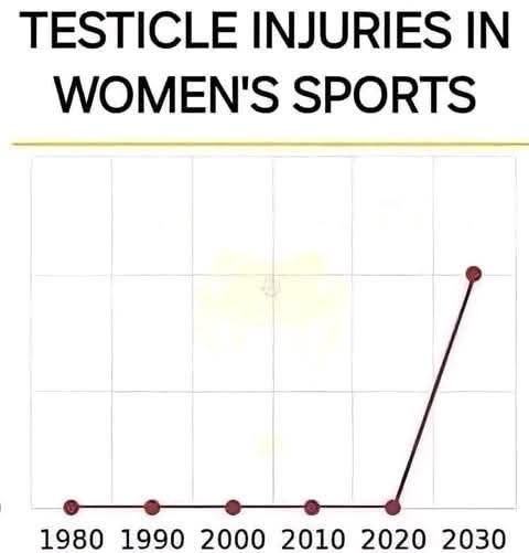 FB_IMG_1760029612910.jpg