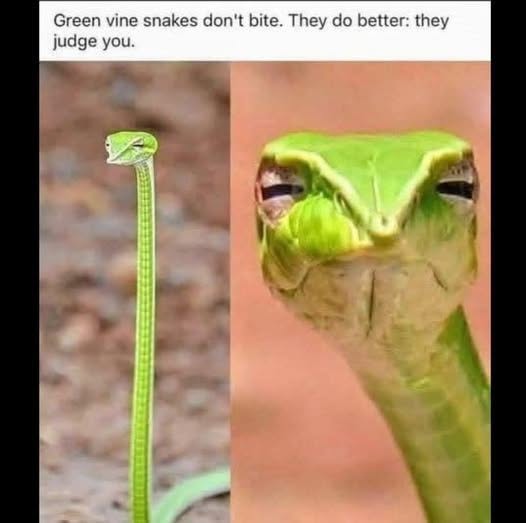 FB_IMG_1762206691008.jpg