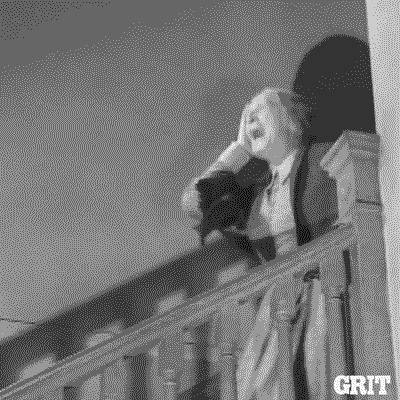 giphy-downsized.gif