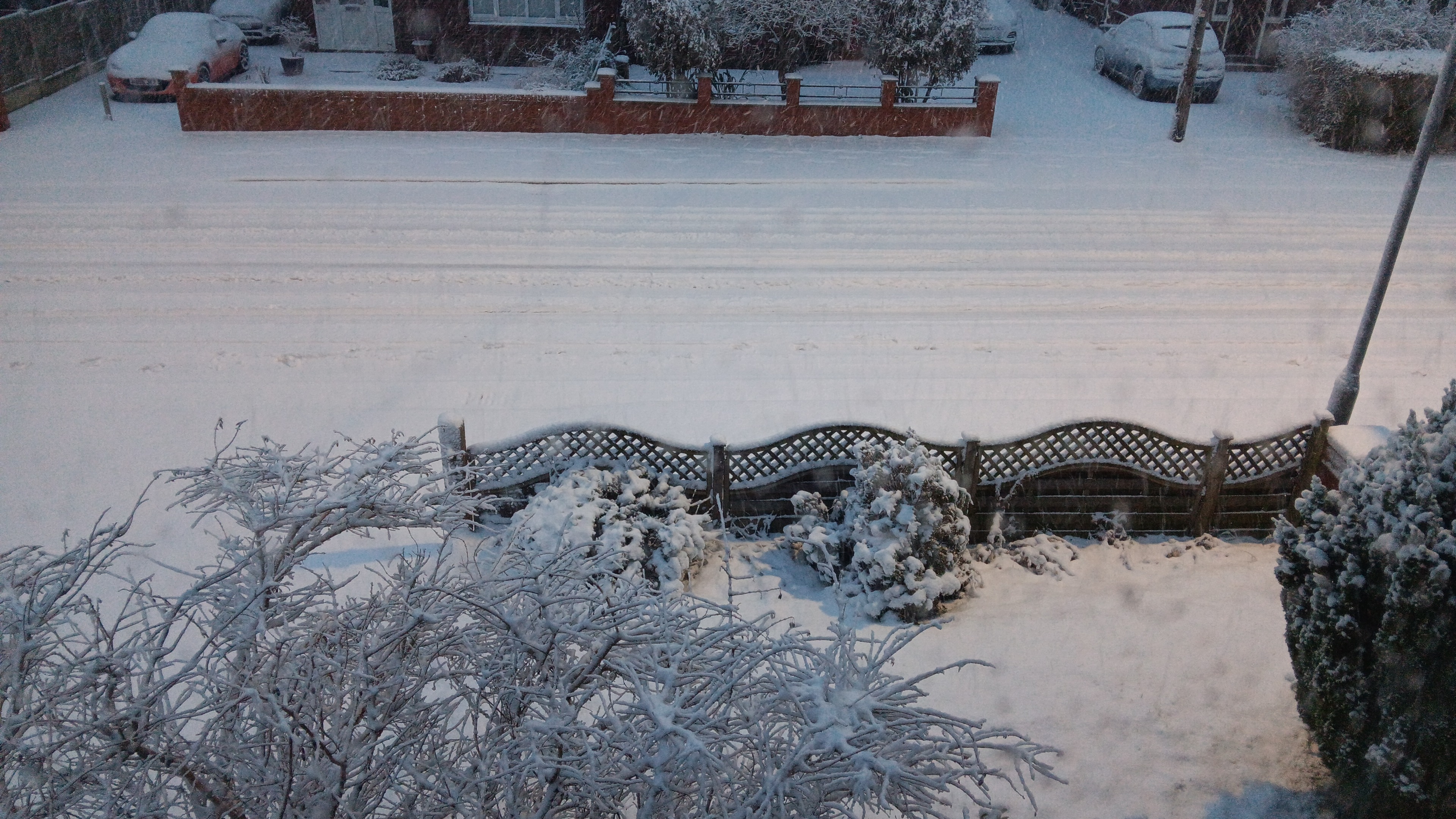 IMG-20241123-WA0001.jpeg