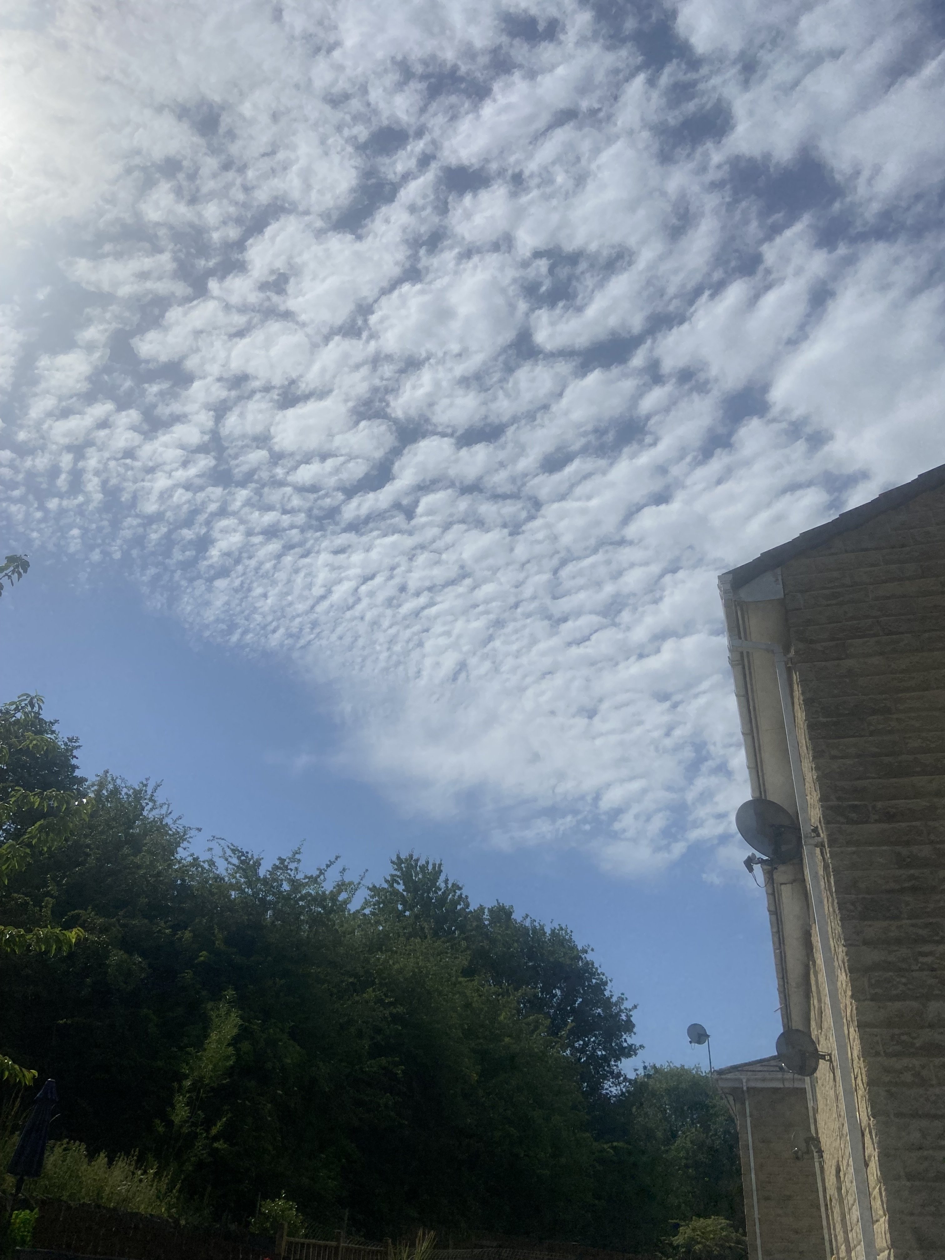 IMG_1997.jpeg