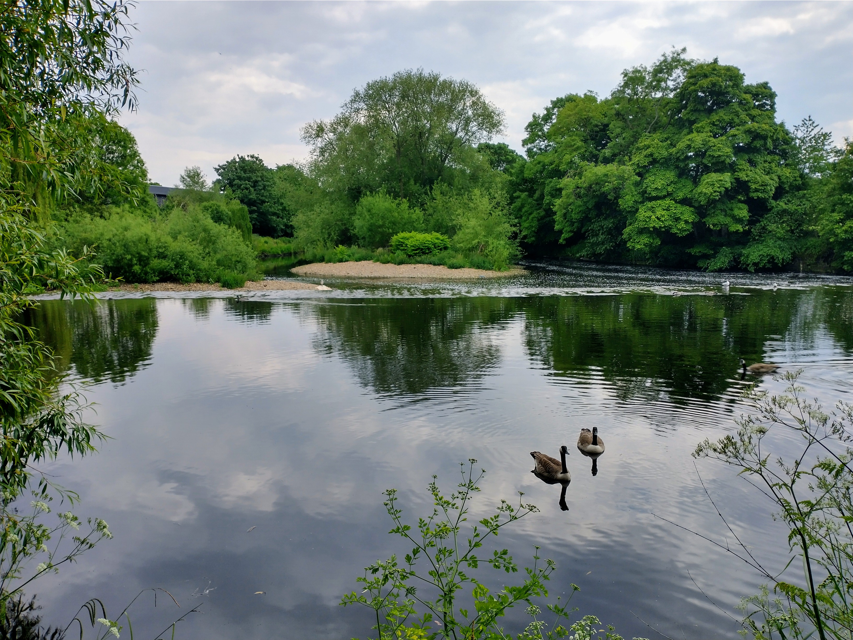 IMG_20220602_144553703_HDR~2.jpg
