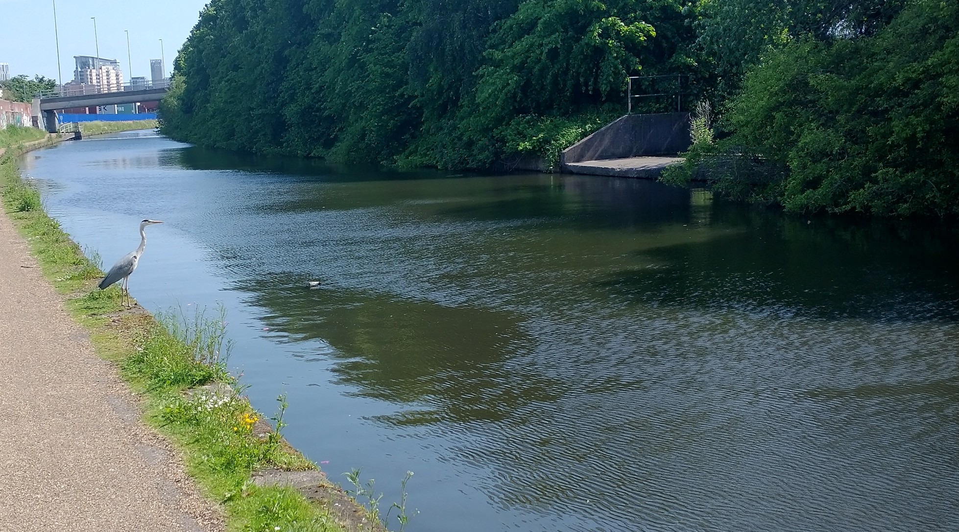 IMG_20230524_104846116_HDR~2.jpg