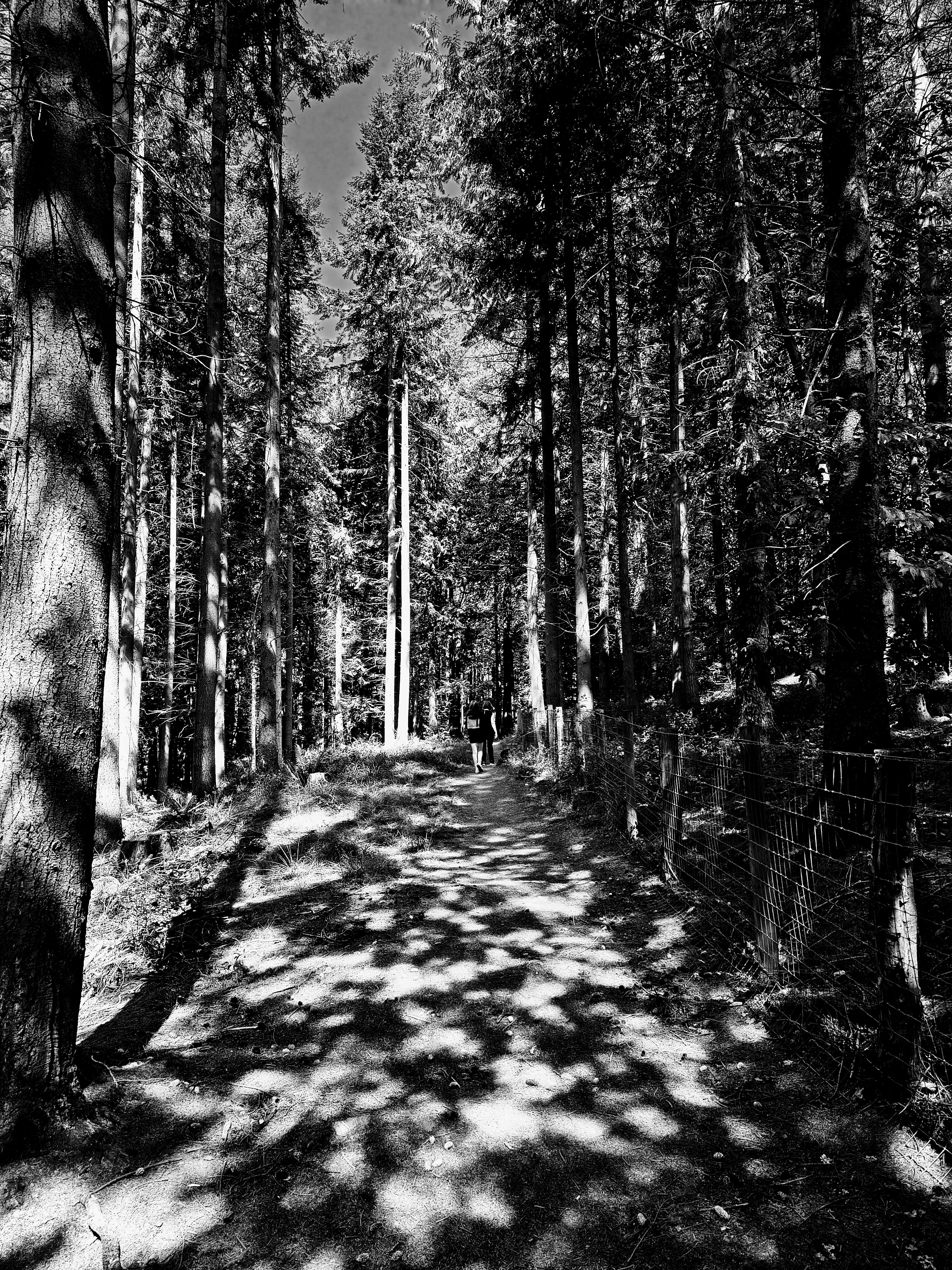 IMG_20250817_125201264_HDR~2.jpg