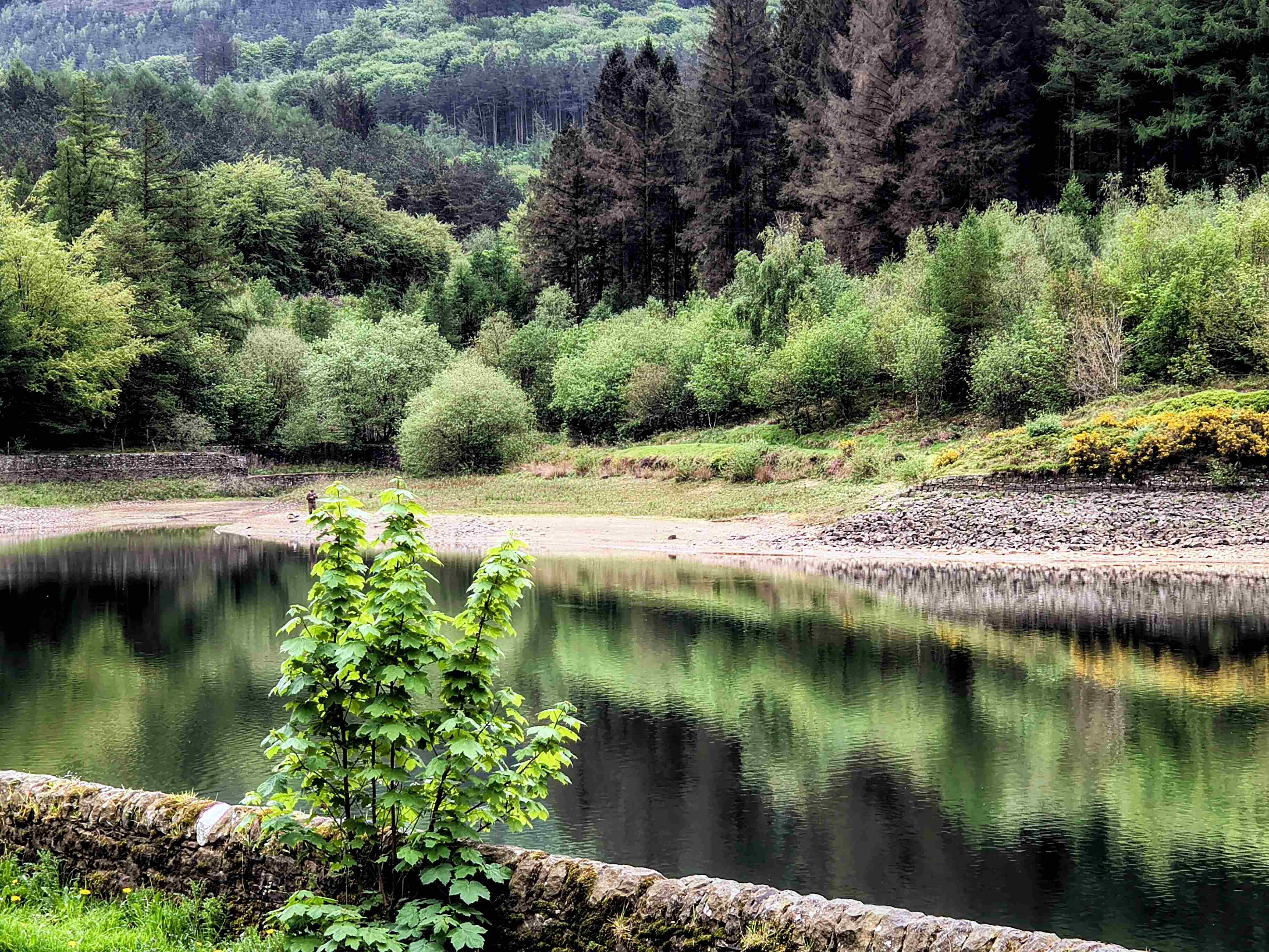 IMG_20260504_115459136_HDR~2.jpg