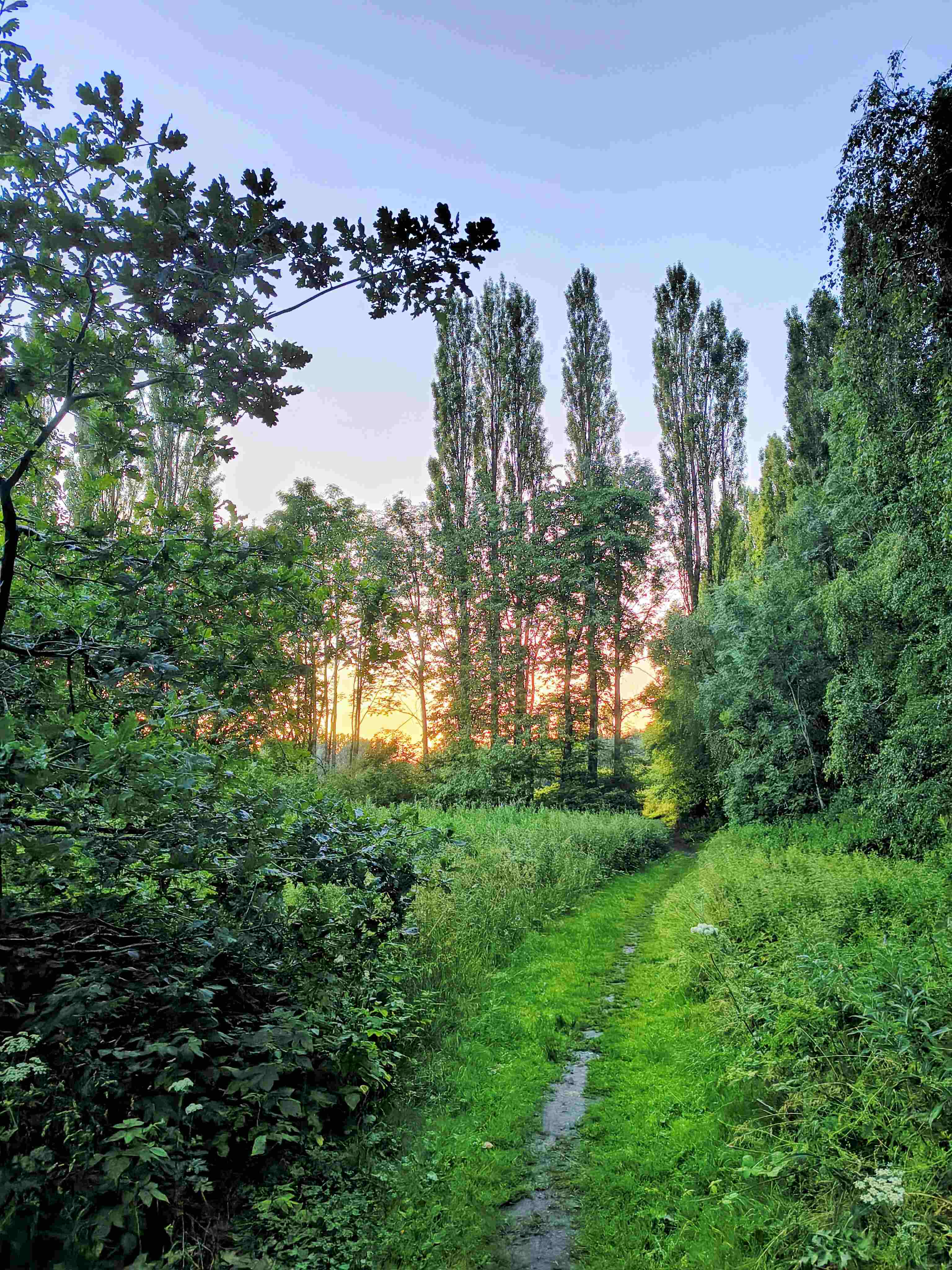 IMG_20260624_220953622_HDR~2.jpg