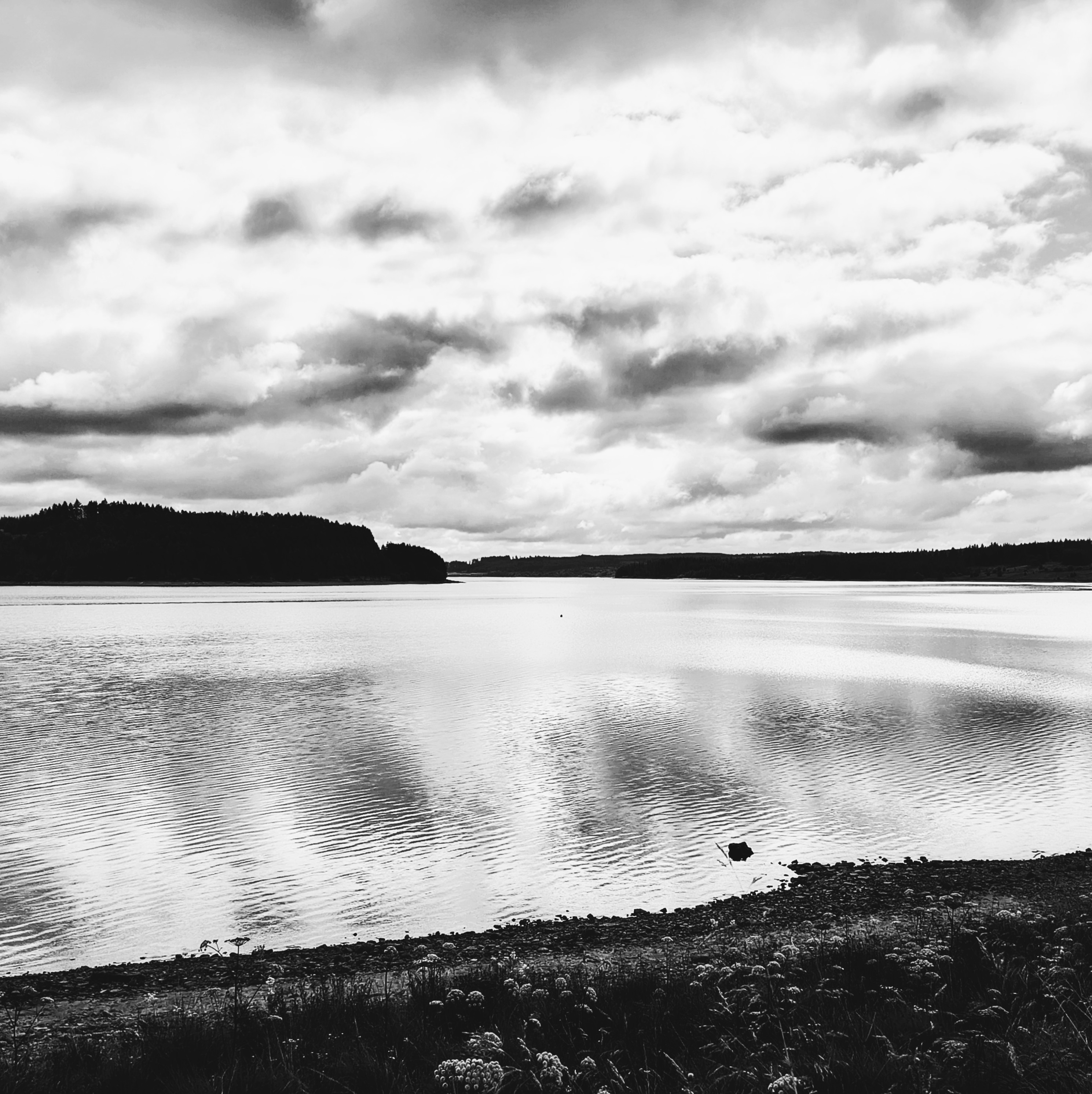 IMG_20260723_105420151_HDR~2.jpg