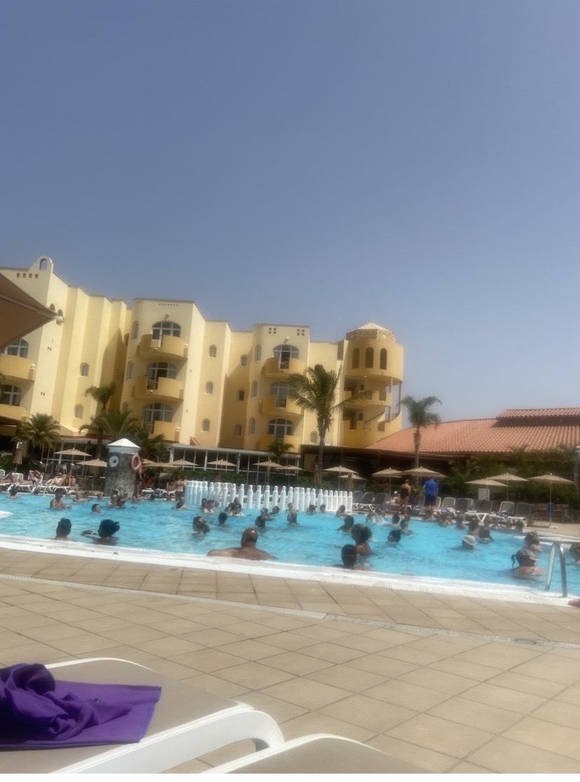 IMG_2218.jpeg