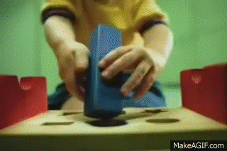 IMG_4900.gif