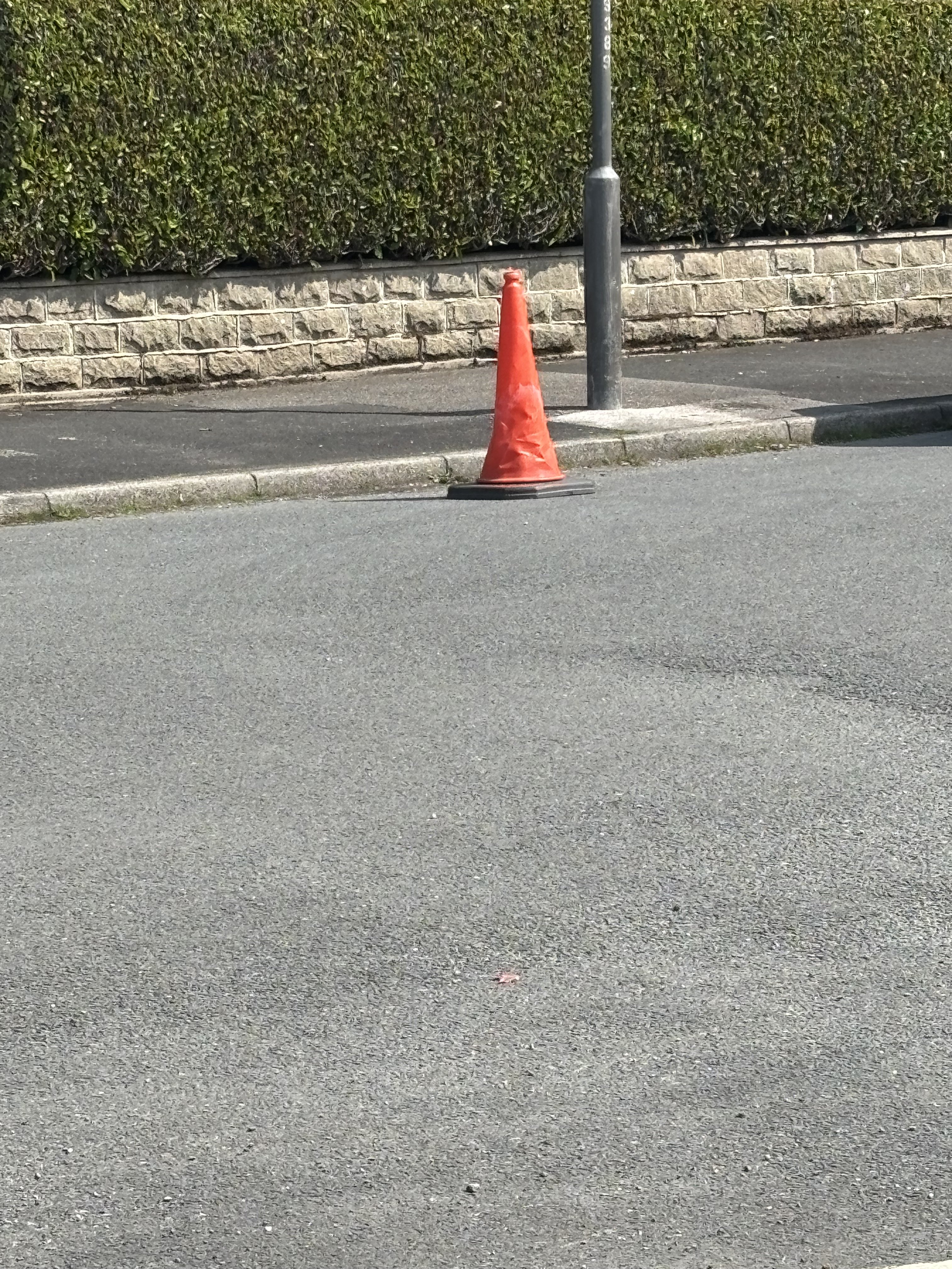 IMG_6391.jpeg