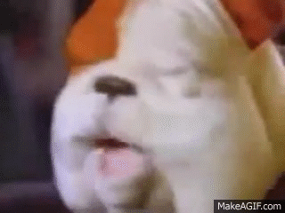 qzVWDm.gif
