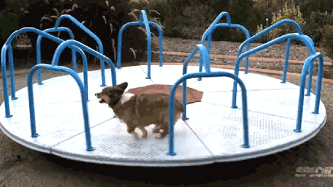 upload_2025-10-5_19-40-7.gif