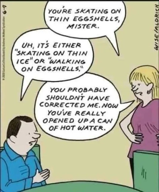 upload_2025-7-19_12-41-26.jpeg