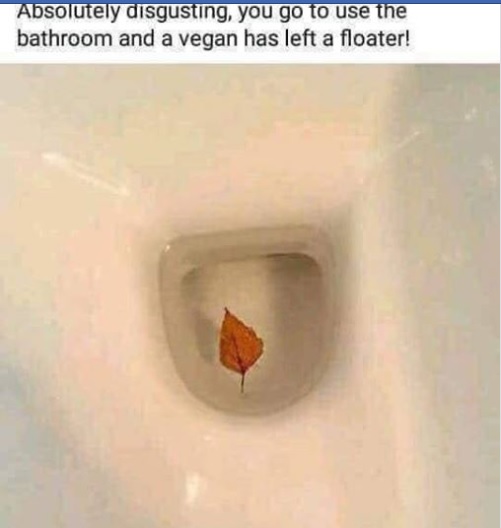vegan.jpg