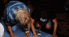 IMG_7180.gif