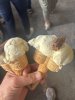 IMG_6664.jpeg