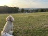 IMG_7779.jpeg