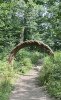 IMG_2071.jpeg